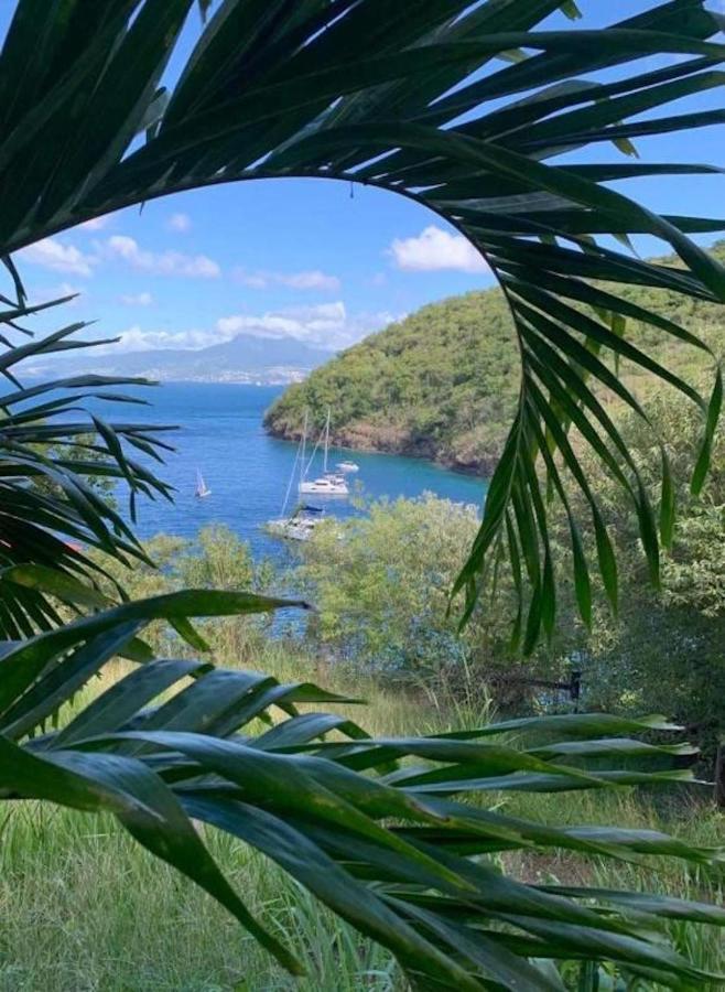 Studio Sainte Anne 2Mn A Pieds De La Plage ,Possibilite Location De Voiture Dış mekan fotoğraf